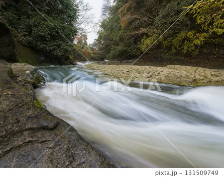 養老渓谷・養老川 粟又の滝上流側 / Yoro River, Chiba, Japan 131509749