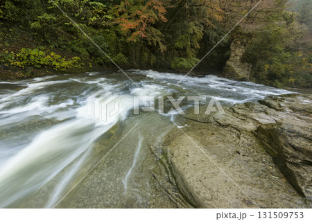 養老渓谷・養老川 粟又の滝上流側 / Yoro Valley, Chiba, Japan 131509753