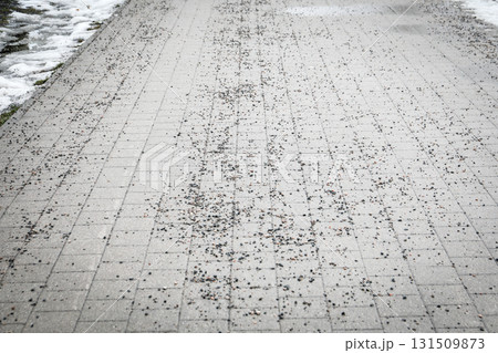 Paved Sidewalk with Pebbles and Snow Along the Edge. 131509873