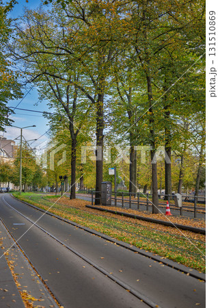 Autumn Tram Tracks Amsterdam 131510869