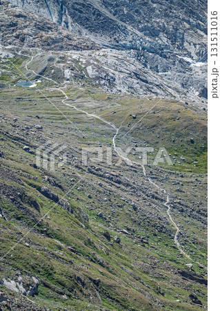 Alpine Glacier Hiking Trail 131511016