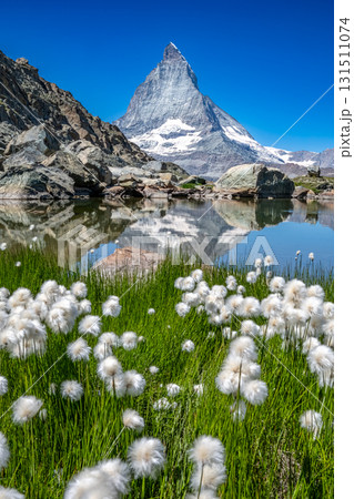 Matterhorn Lake Cotton Grass 131511074