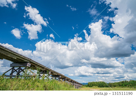 木津川の名所上津屋橋（流れ橋）　京都府八幡市 131511190