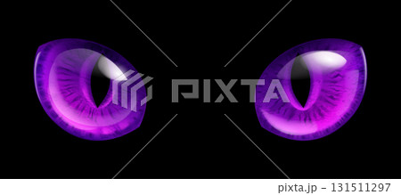 Mystical purple cat eyes with vertical pupils on a black background. 131511297