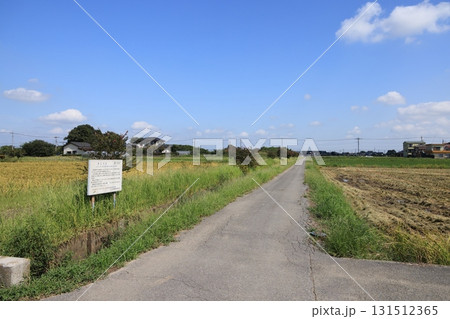 埼玉県加須市オニバス自生地の風景 131512365