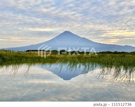 富士川から見る富士山 富士川から見る富士山 131512736