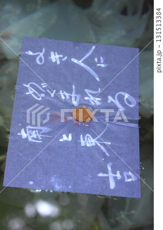 八重垣神社の鏡の池占い 131513384