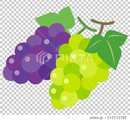 Grape Muscat 131513595