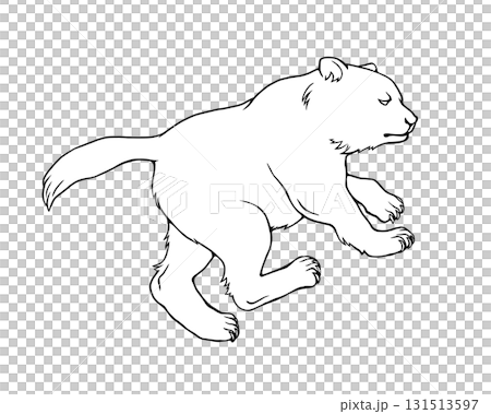 Line drawing of the bear in Ursa Major 131513597