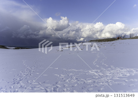 雪に覆われた鳥取砂丘 雪に覆われた鳥取砂丘 131513649