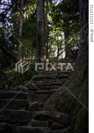 苔むした石段 苔むした石段 131513712