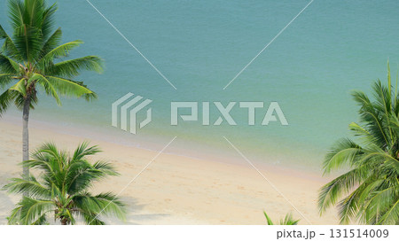 beautiful beach with palm tree and white sand in summertime beautiful beach with palm tree and white sand in summertime 131514009