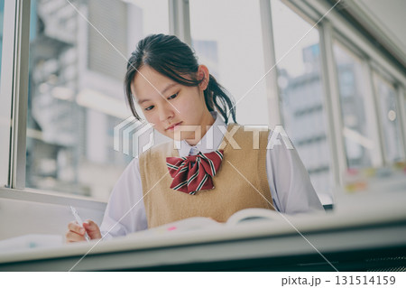 塾の教室で勉強する女子中学生 塾の教室で勉強する女子中学生 131514159