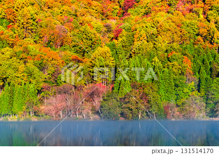 中綱湖（秋） 131514170