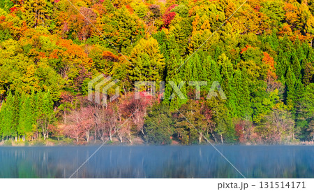 中綱湖(秋) 中綱湖(秋) 131514171