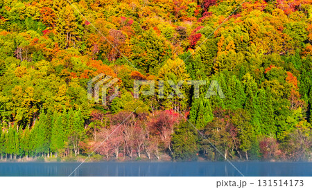 中綱湖（秋） 131514173