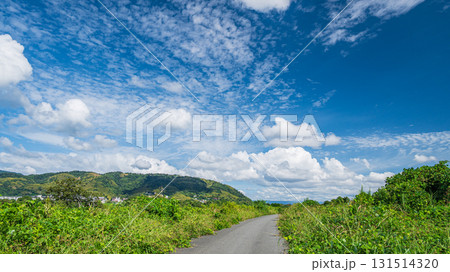 淀川河川敷の道 淀川サイクリングロード 京都府八幡市 淀川河川敷の道 淀川サイクリングロード 京都府八幡市 131514320