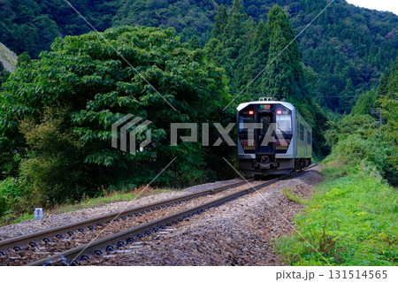 山間を走る気動車 山間を走る気動車 131514565