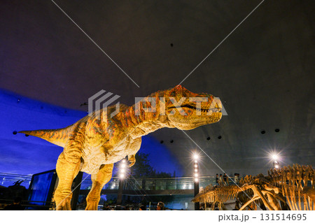 ティラノサウルス6 131514695