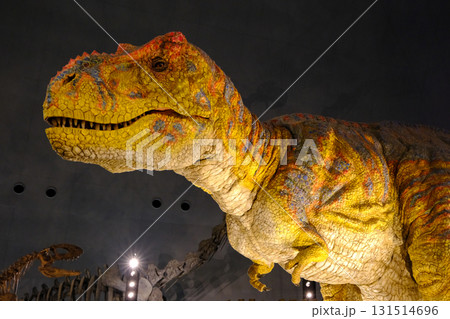 ティラノサウルス5 ティラノサウルス5 131514696