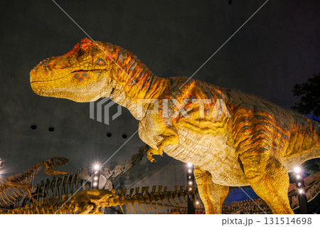 ティラノサウルス3 131514698