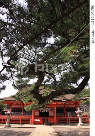 日御碕神社 日御碕神社 131514796