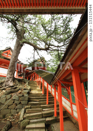 日御碕神社 131515444