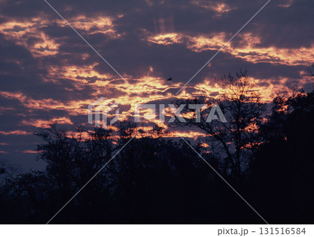 Material Dictionary Vol.94 Landscape of the Four Seasons and Peace. High quality photo Material Dictionary Vol.94 Landscape of the Four Seasons and Peace. High quality photo 131516584