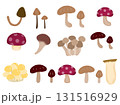 色々な種類のキノコ素材セット 色々な種類のキノコ素材セット 131516929