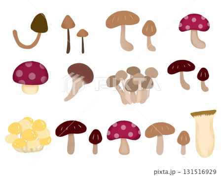 色々な種類のキノコ素材セット 色々な種類のキノコ素材セット 131516929