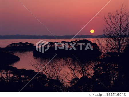 Dictionary of Materials Vol.146 Four Seasons. Japanese Flowers and Trees. High quality photo 131516948