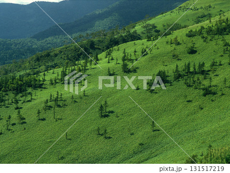 Dictionary of Materials Vol.122 Four Seasons. Scenery of Japan. High quality photo 131517219