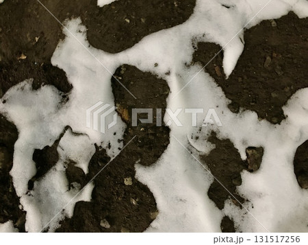 写真素材 : 雪の日の人跡 131517256