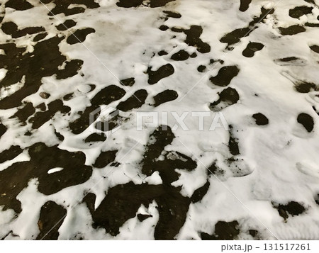 写真素材 : 雪の日の人跡 131517261