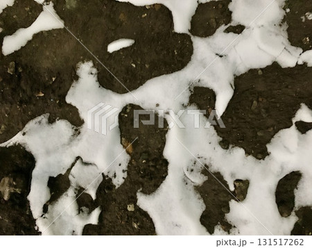 写真素材 : 雪の日の人跡 131517262