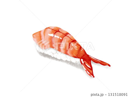リアルな海老の寿司のイラスト リアルな海老の寿司のイラスト 131518091