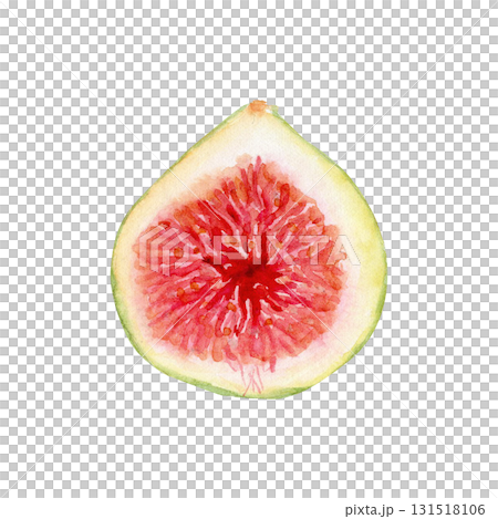 Fresh fig half, vibrant red pulp, green peel. Hand-painted watercolor illustration isolated on white. Fruit clipart for food design, organic label, healthy lifestyle project, kitchen print, botanical Fresh fig half, vibrant red pulp, green peel. Hand-painted watercolor illustration isolated on white. Fruit clipart for food design, organic label, healthy lifestyle project, kitchen print, botanical 131518106
