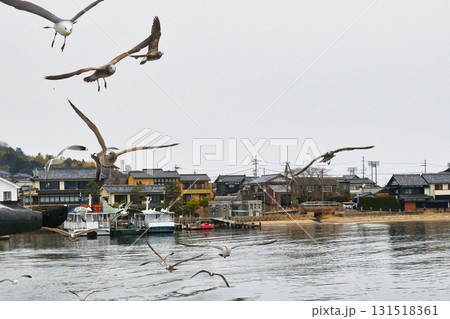 天橋立観光船　海鳥へのエサやり（京都府宮津市） 131518361