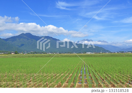 北アルプス山麓　苅田の秋 131518528