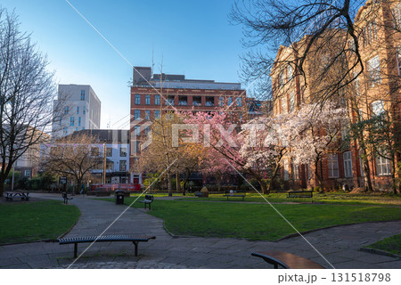 A tranquil park in Manchester featuring cherry blossom trees, red brick buildings, modern architecture, green lawns, and paved walkways under a clear blue sky. A tranquil park in Manchester featuring cherry blossom trees, red brick buildings, modern architecture, green lawns, and paved walkways under a clear blue sky. 131518798