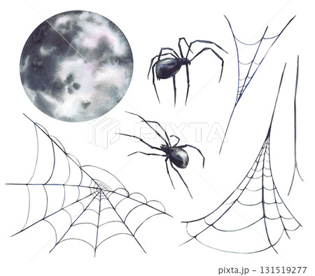 Full moon with spiders and spider webs. Realistic hand painted black grey Halloween decoration set. Illustration for party card, Horror design, biology, nature theme. Isolated from background clipart Full moon with spiders and spider webs. Realistic hand painted black grey Halloween decoration set. Illustration for party card, Horror design, biology, nature theme. Isolated from background clipart 131519277