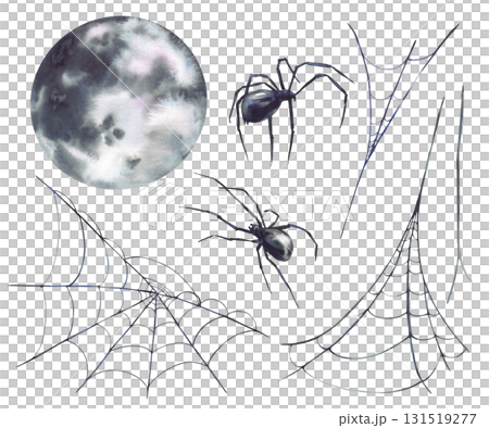 Full moon with spiders and spider webs. Realistic hand painted black grey Halloween decoration set. Illustration for party card, Horror design, biology, nature theme. Isolated from background clipart Full moon with spiders and spider webs. Realistic hand painted black grey Halloween decoration set. Illustration for party card, Horror design, biology, nature theme. Isolated from background clipart 131519277