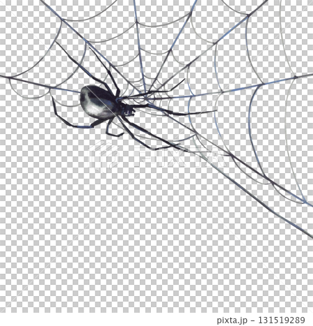 Spider hanging, crawling on a web. Gothic black grey Halloween decoration. Hand drawn Watercolor illustration for party card, invitation, Horror design element. Isolated on white background clipart  Spider hanging, crawling on a web. Gothic black grey Halloween decoration. Hand drawn Watercolor illustration for party card, invitation, Horror design element. Isolated on white background clipart  131519289
