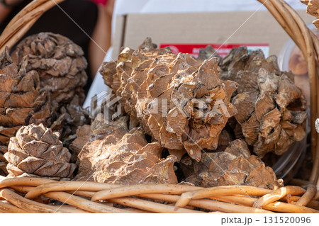 Pine cones in a wooden barrel 131520096