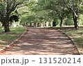 公園の散歩道 131520214