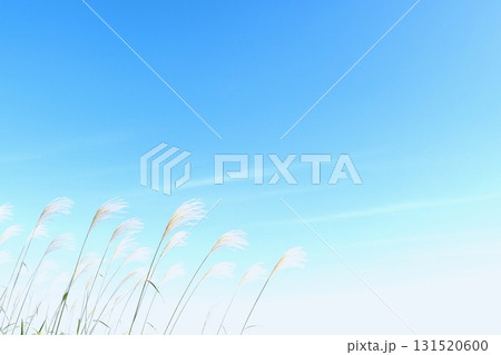 秋の風景と空の美しい景色 秋イメージの背景素材 秋の風景と空の美しい景色 秋イメージの背景素材 131520600