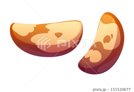 Cartoon raw ripe brazil nut kernels. Isolated vector large, curved, smooth edible and peeled creamy seeds. Organic vegetarian food, rich in selenium. Healthy tropical snack, natural cooking ingredient 131520677