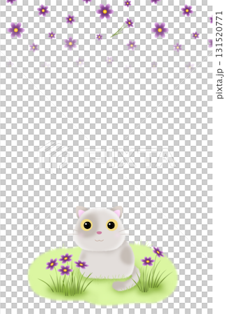 紫の花とネコの背景〈ハガキ〉 H-1 紫の花とネコの背景〈ハガキ〉 H-1 131520771