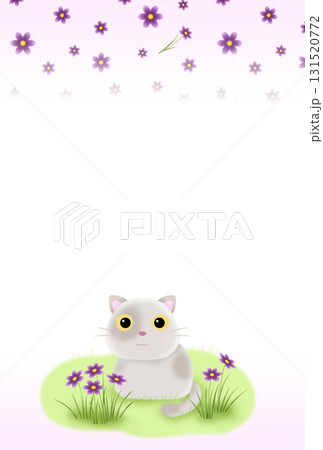 紫の花とネコの背景〈ハガキ〉 H-2 紫の花とネコの背景〈ハガキ〉 H-2 131520772