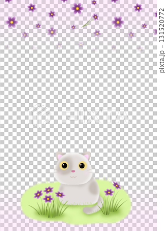 紫色花朵和貓背景（明信片）H-2 131520772